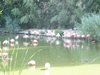 parc_ioseaux_02